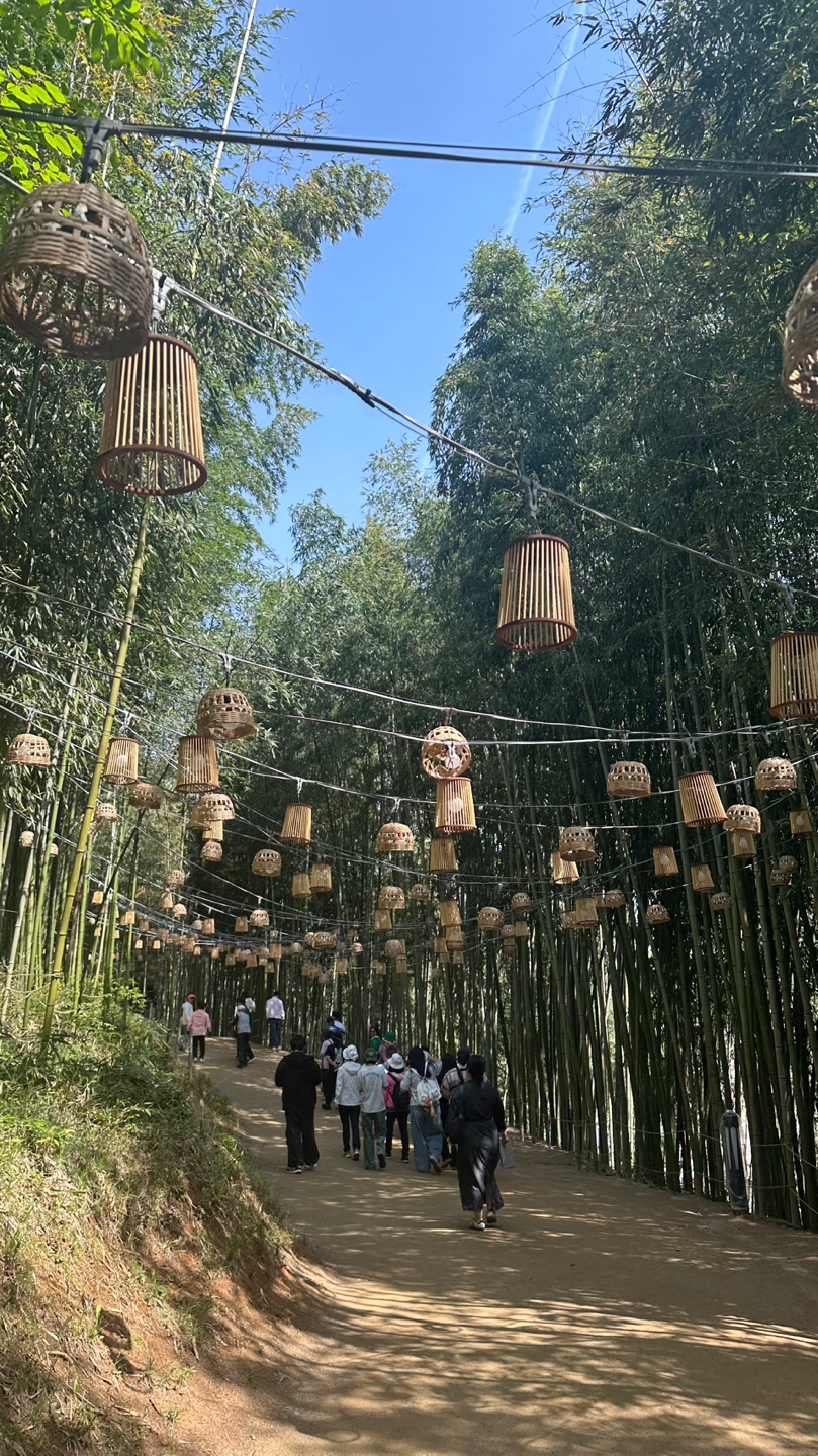 죽녹원 탐방2.jpg