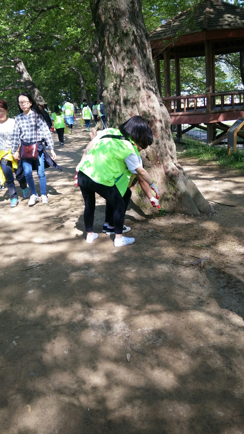 KakaoTalk_20160504_162035712.jpg