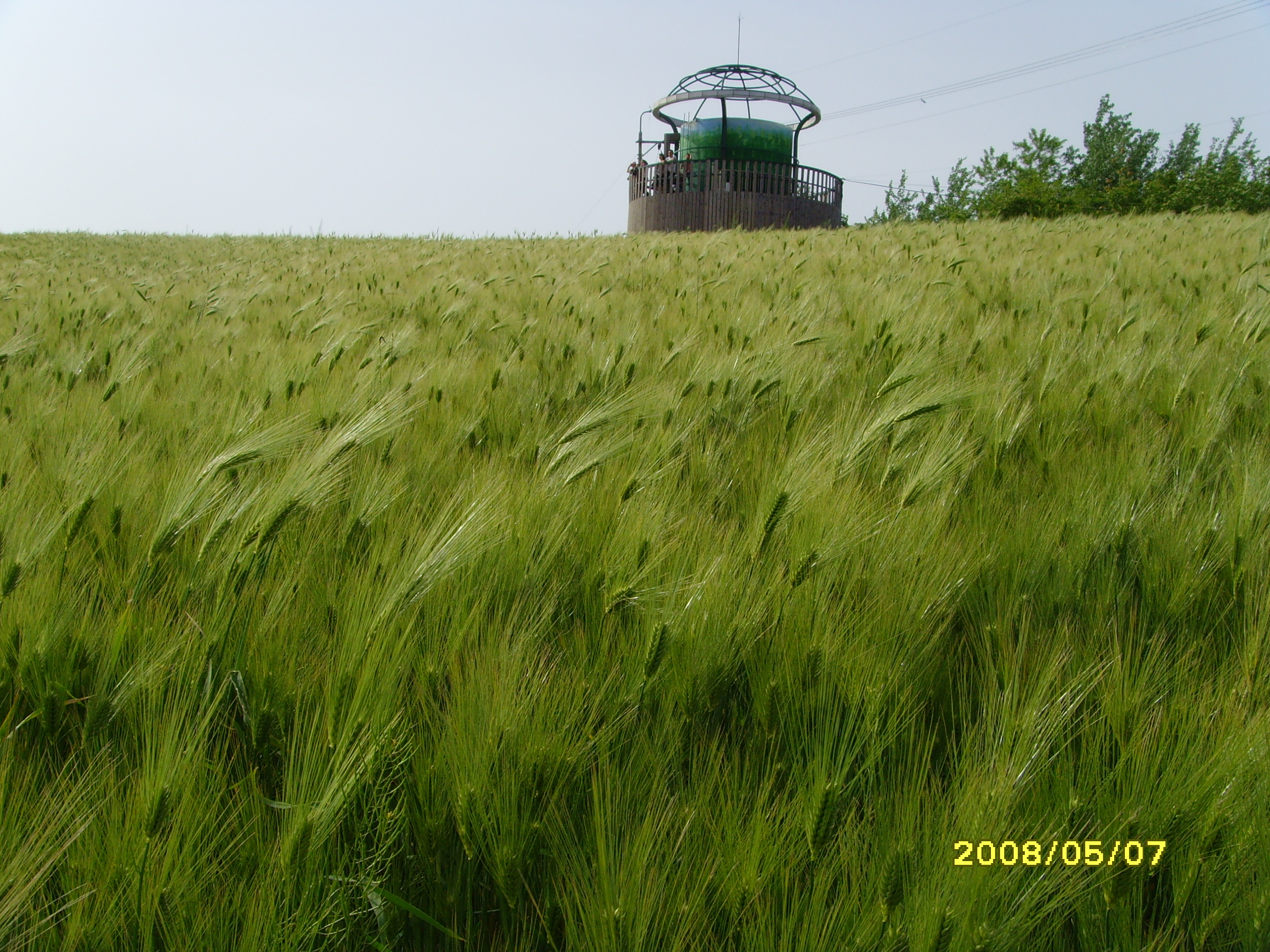 SNV30243.JPG